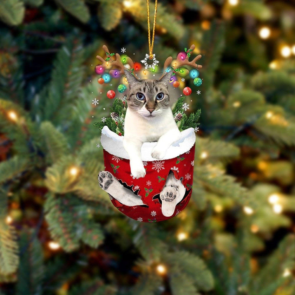 Funny Ojos Azules In Snow Pocket Christmas Ornament Flat Acrylic Cat Ornament