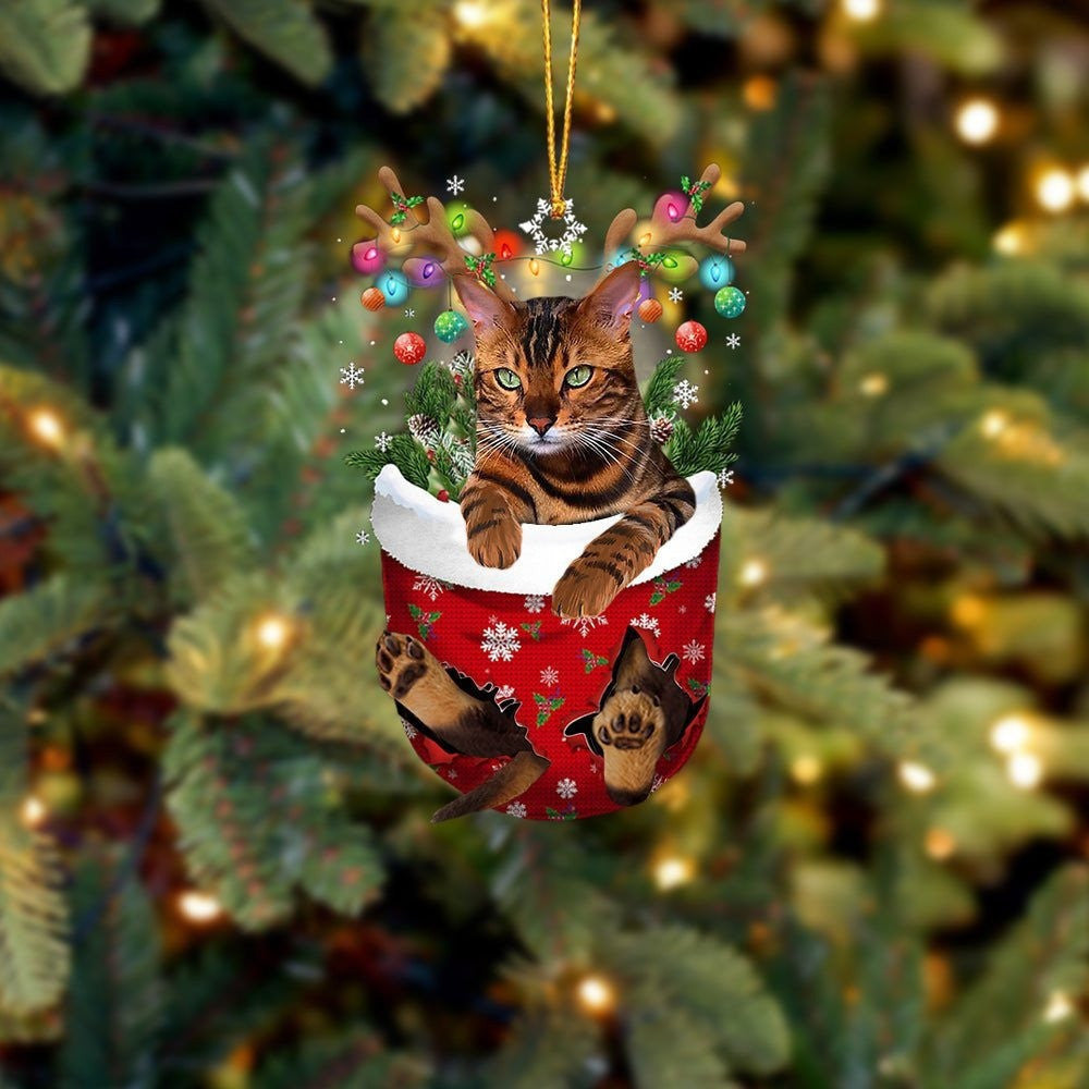 Funny Cat Tiger In Snow Pocket Christmas Ornament Flat Acrylic Cat Ornament