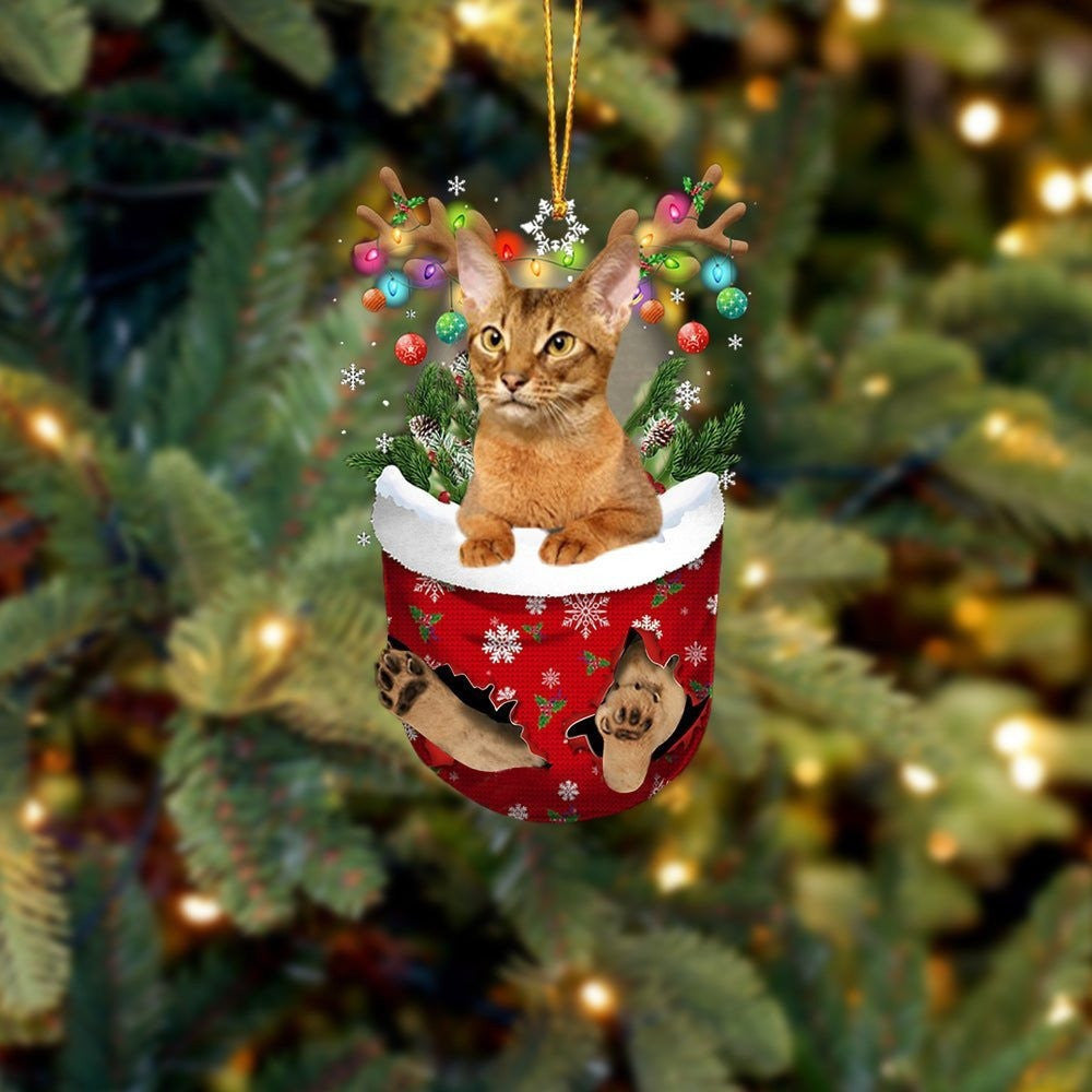 Funny Cat Abyssinian In Snow Pocket Christmas Ornament Flat Acrylic Cat Ornament