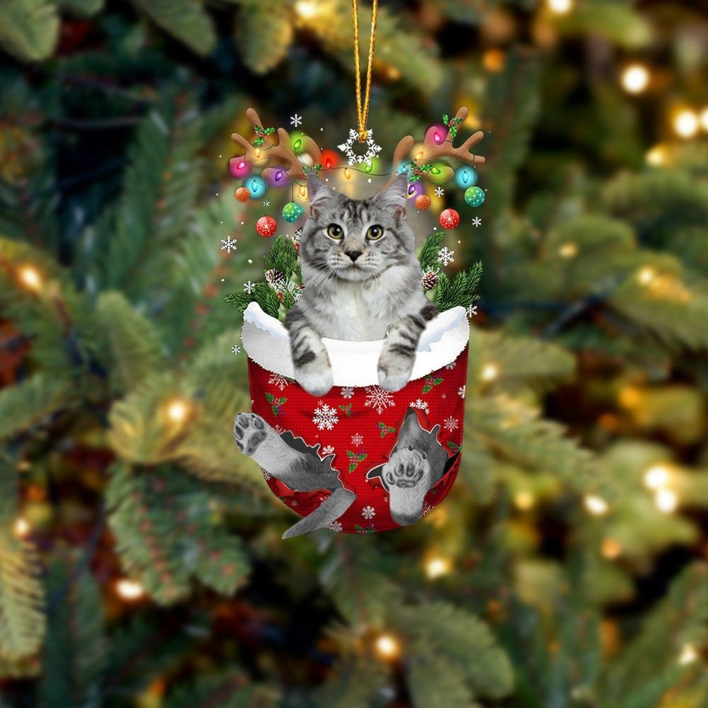Cat Maine Coon In Snow Pocket Christmas Ornament Flat Acrylic Cat Ornaments