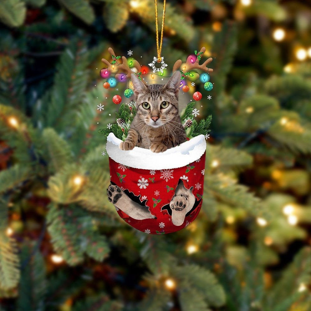 Cat Savannah In Snow Pocket Christmas Ornament Flat Acrylic Cat Ornaments