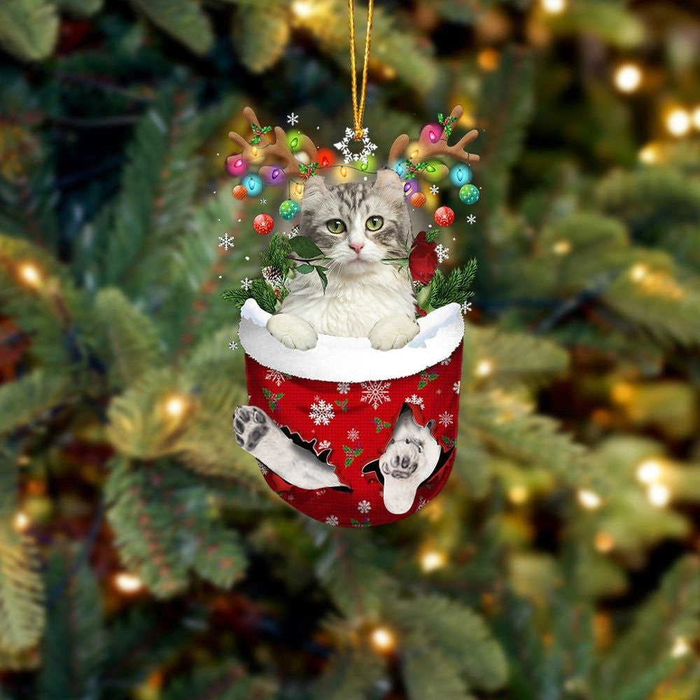 American Curl Cat In Snow Pocket Christmas Ornament Flat Acrylic Cat Ornaments