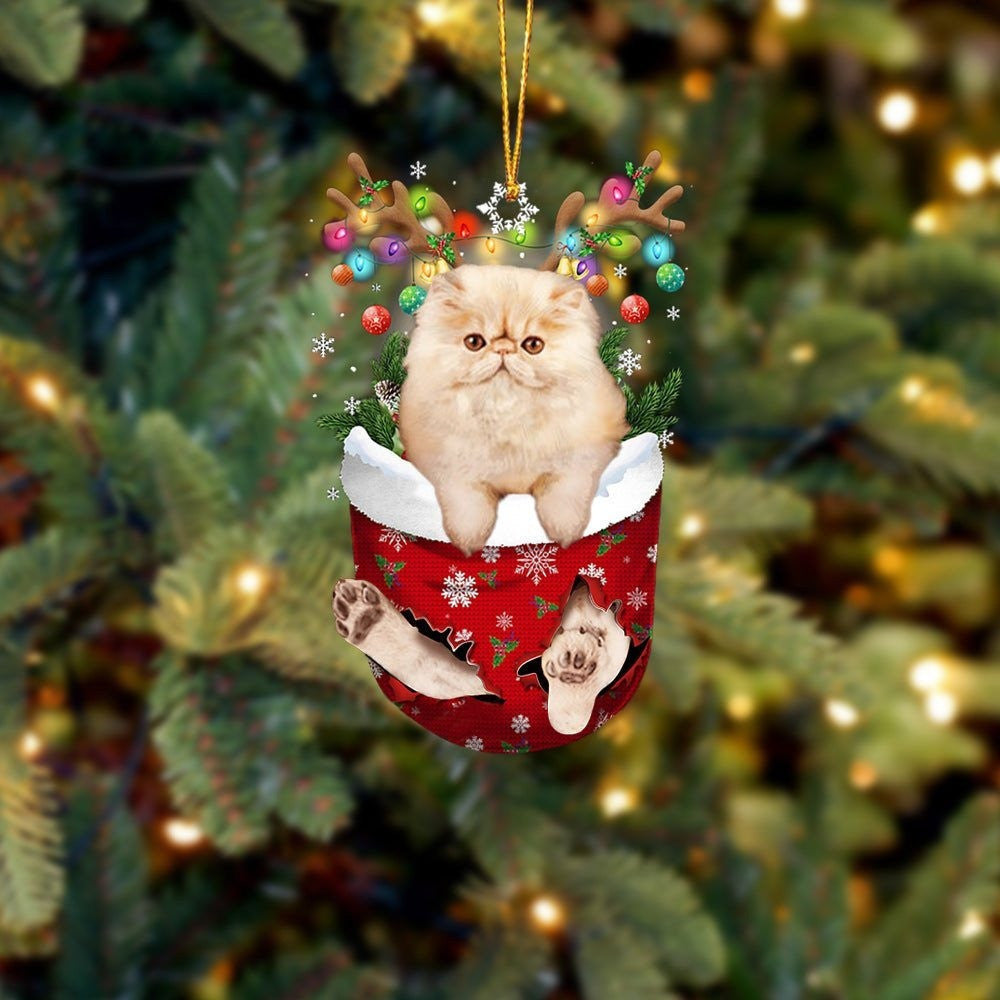 Cat Persian In Snow Pocket Christmas Ornament Flat Acrylic Cat Ornaments
