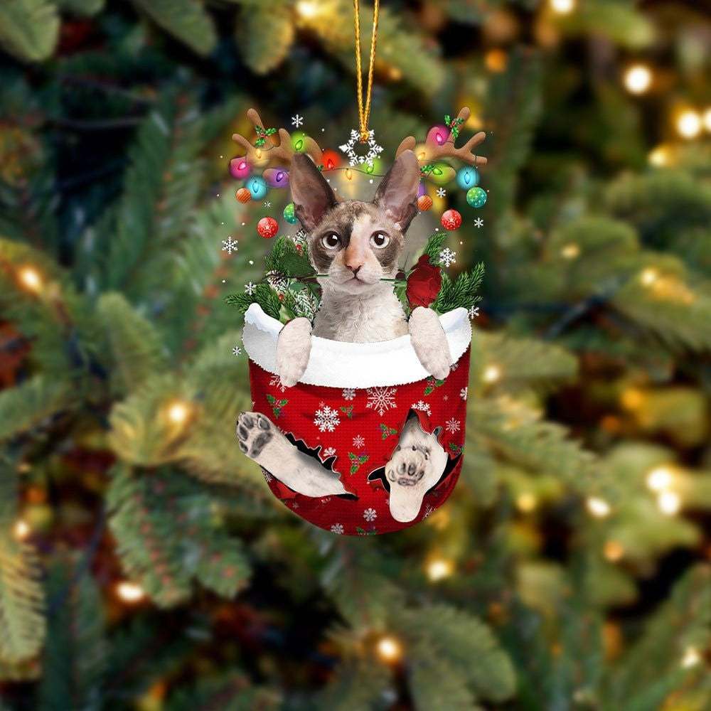 Cornish Rex Cat In Snow Pocket Christmas Ornament Flat Acrylic Cat Ornaments