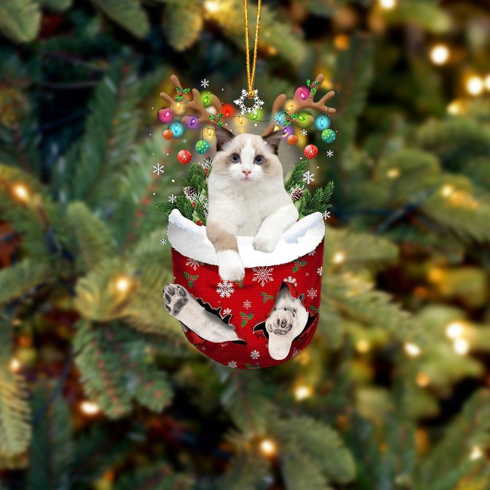 White Ragdoll Cat In Snow Pocket Christmas Ornament Flat Acrylic Cat Ornaments