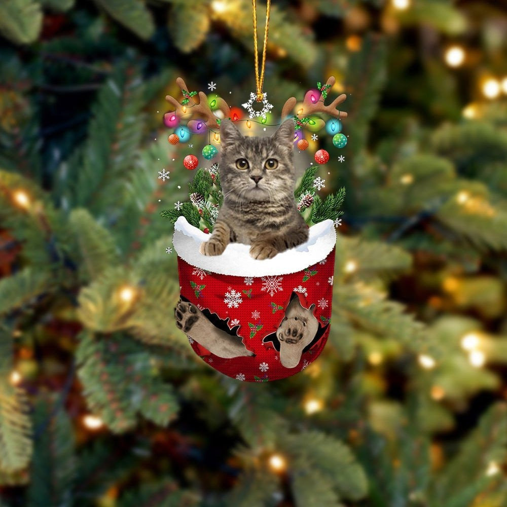 European Shorthair In Snow Pocket Christmas Ornament Flat Acrylic Cat Ornaments
