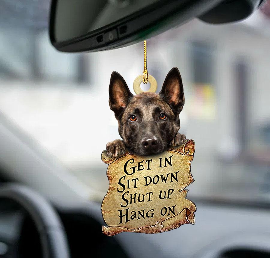 Malinois get in two sided ornament/ cool ornaments for car