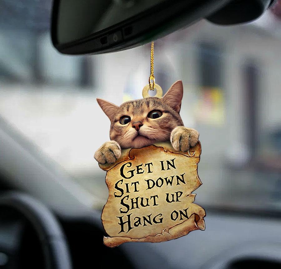 Cat get in cat lover two sided ornament/ Funny Cat Ornaments