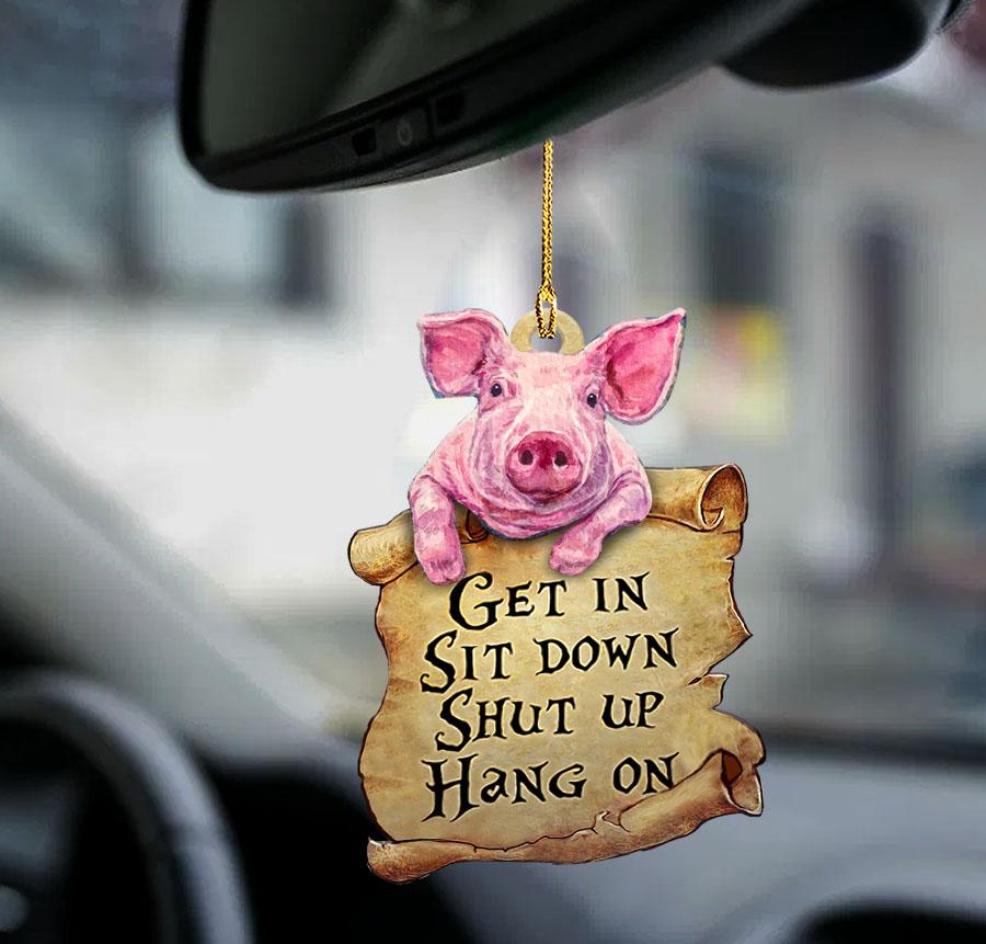 Pig get in pig lover two sided ornament/ auto hanging ornaments