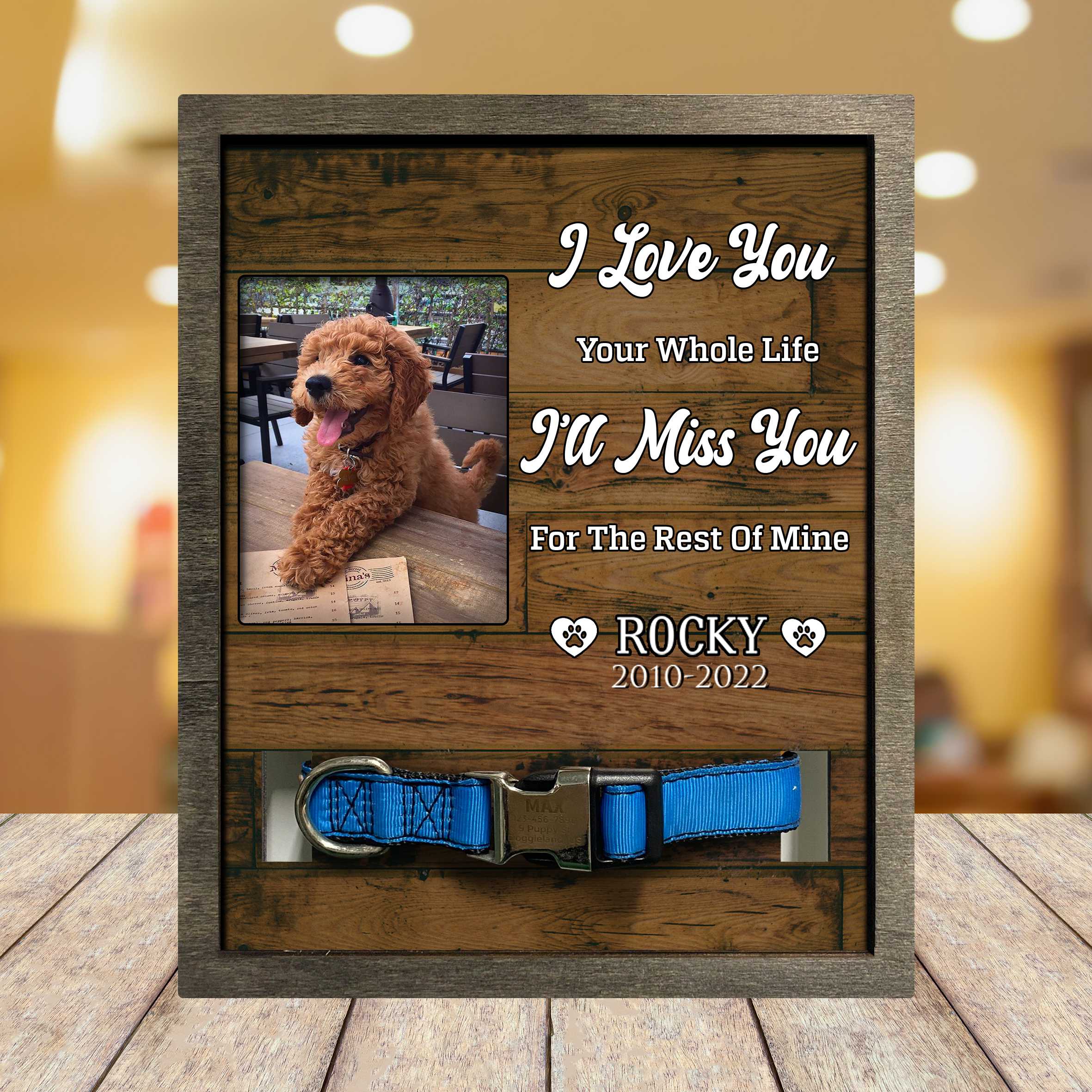 You Were My Favorite Hello Memorial Picture Frame Lost Of Dog Present