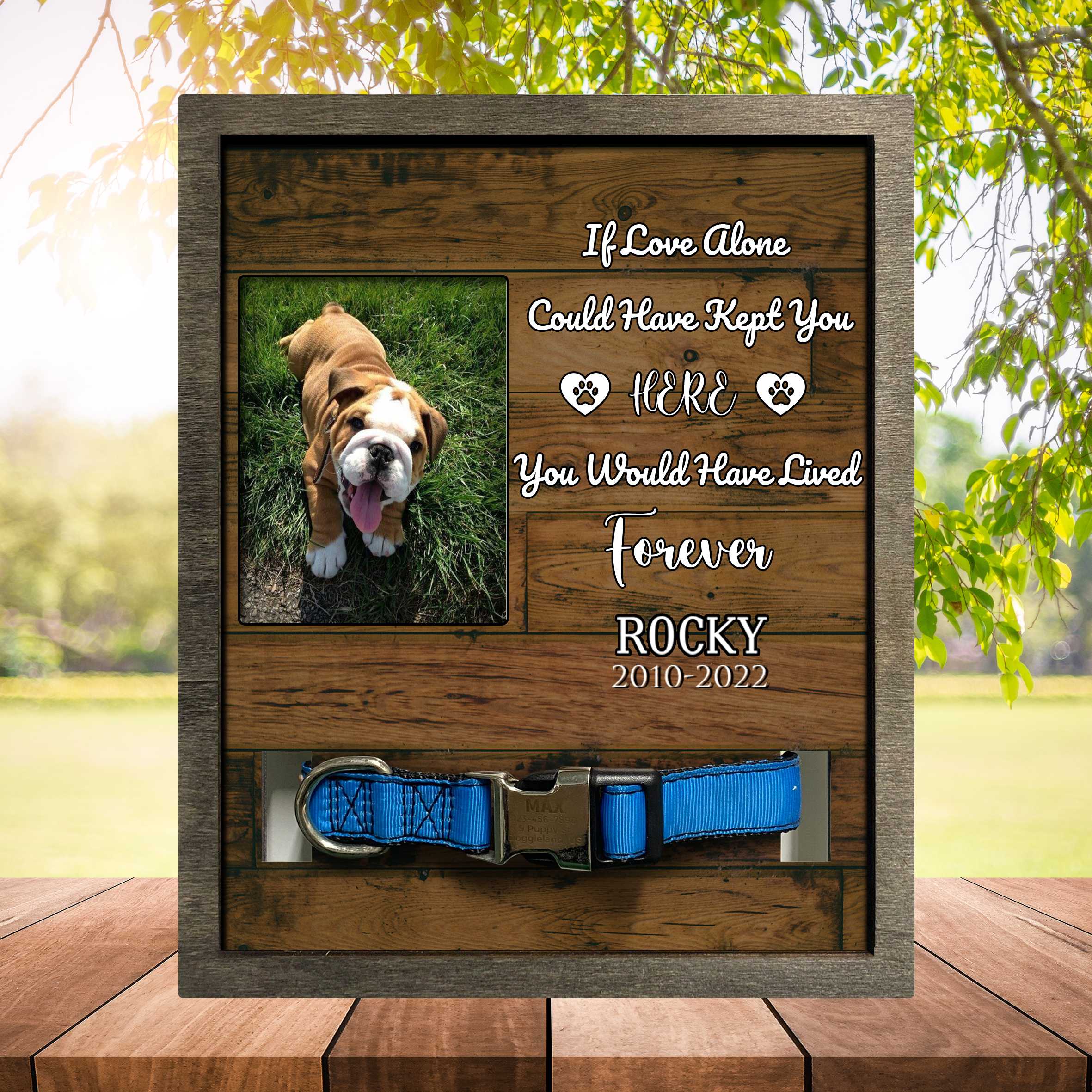 Personalized Pet Memorial Picture Frame/ Dog Sympathy Photo Gift/ Cat Remembrance/ Animal Condolence