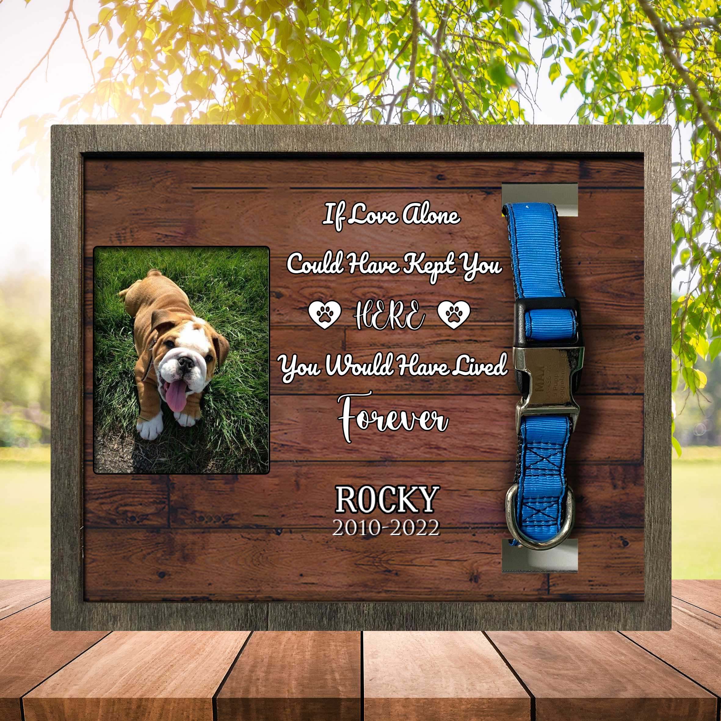 Personalized Pet Memorial Picture Frame/ Dog Sympathy Photo Gift/ Cat Remembrance/ Animal Condolence