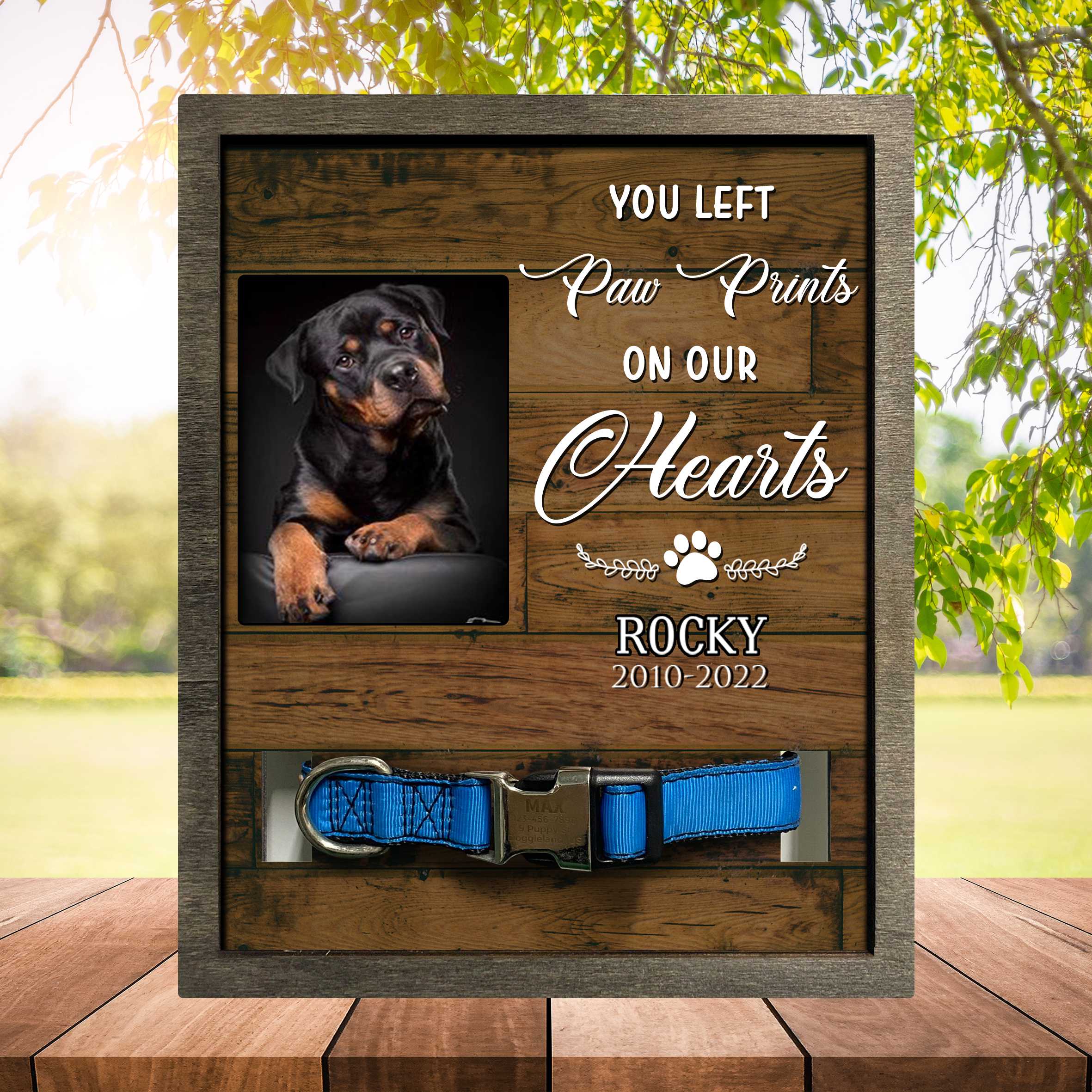 Pet Collar Keepsake Memorial Picture Frame/ A Beautiful Remembrance Gift For A Grieving Pet Owner