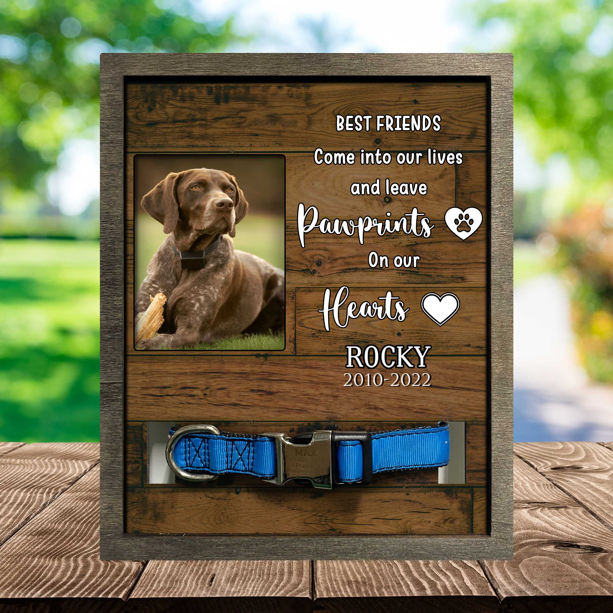 Dog Memorial Picture Frame Loss Of German Shorthaired Pointer Dog