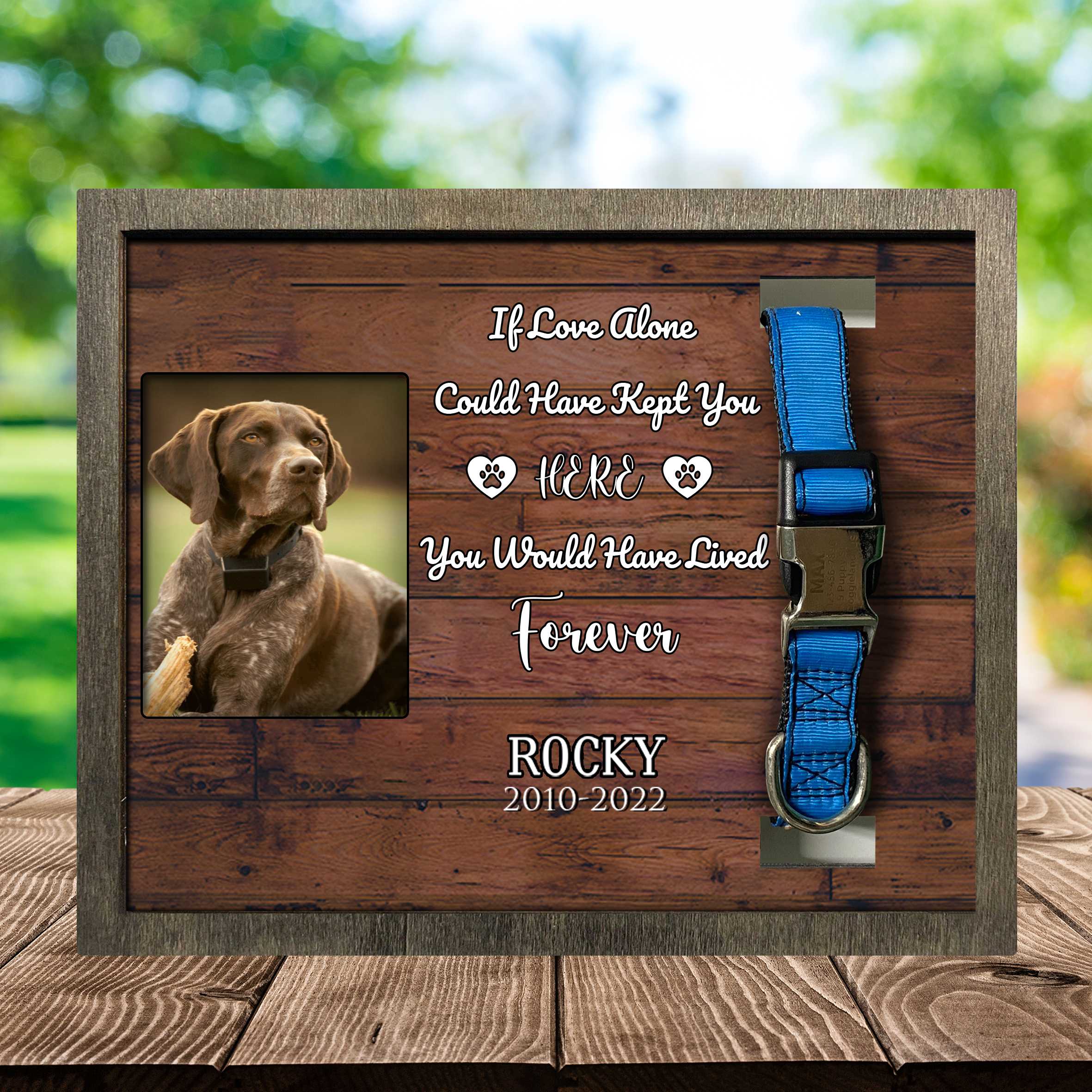 Dog Memorial Picture Frame Loss Of German Shorthaired Pointer Dog