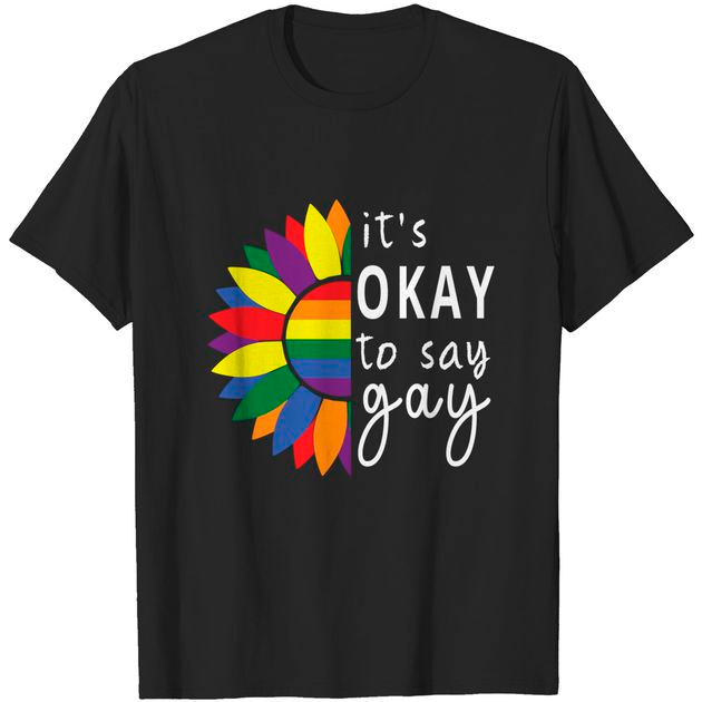 Shirt For Gay/ GIft For Gay/ It Is Ok To Say Gay T Shirt