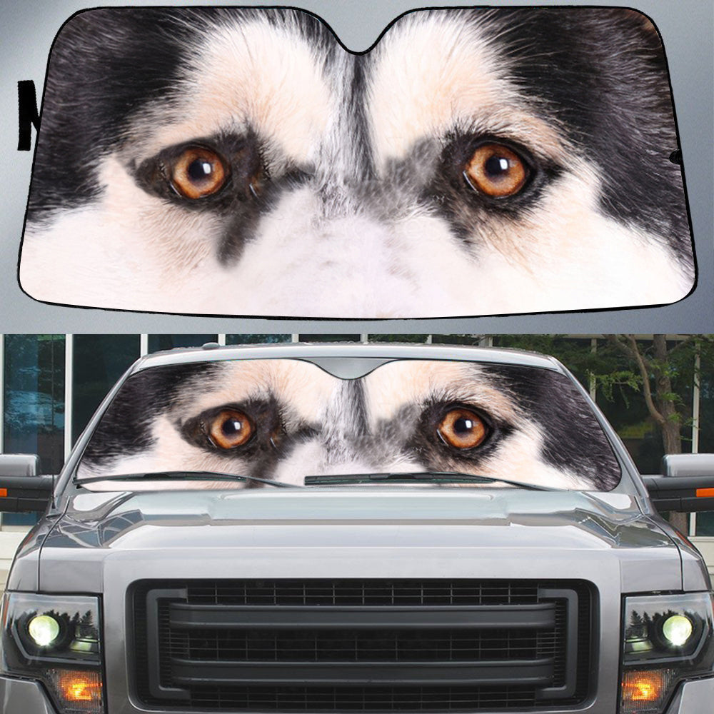 Alaskan Husky''s Eyes Beautiful Dog Eyes Car Sun Shade Cover Auto Windshield