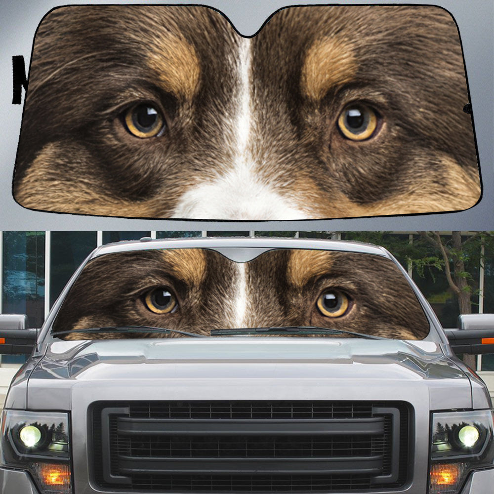 Australian Shepherd''s Eyes Beautiful Dog Eyes Best Car Sun Shade Cover Auto Windshield