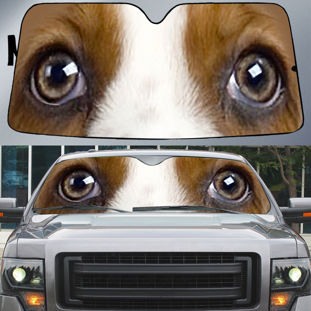 Basset Hound''s Eyes Beautiful Dog Eyes Car Sun Shade Cover Auto Windshield