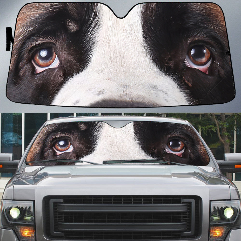 Bernard''s Eyes Beautiful Dog Eyes Car Sun Shade Cover Auto Windshield