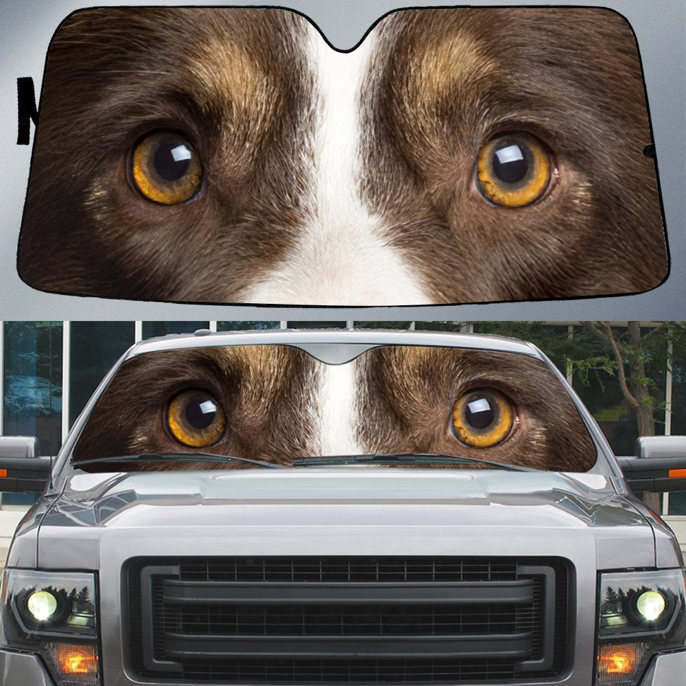 Bernese Mountain''s Eyes Beautiful Dog Eyes Car Sunshade Cover Auto Windshield