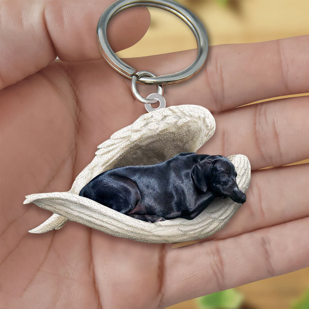 Black Labrador Sleeping Angel Acrylic Keychain Dog Sleeping Keychain Coolspod