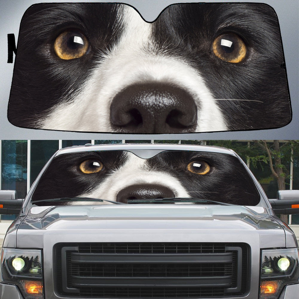 Border Collie Eyes Beautiful Dog Eyes Car Sun Shade Cover Auto Windshield