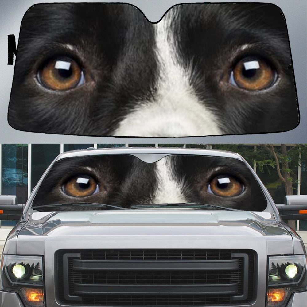 Border Collie Eyes Beautiful Dog Eyes Car Sunshade Cover Auto Windshield