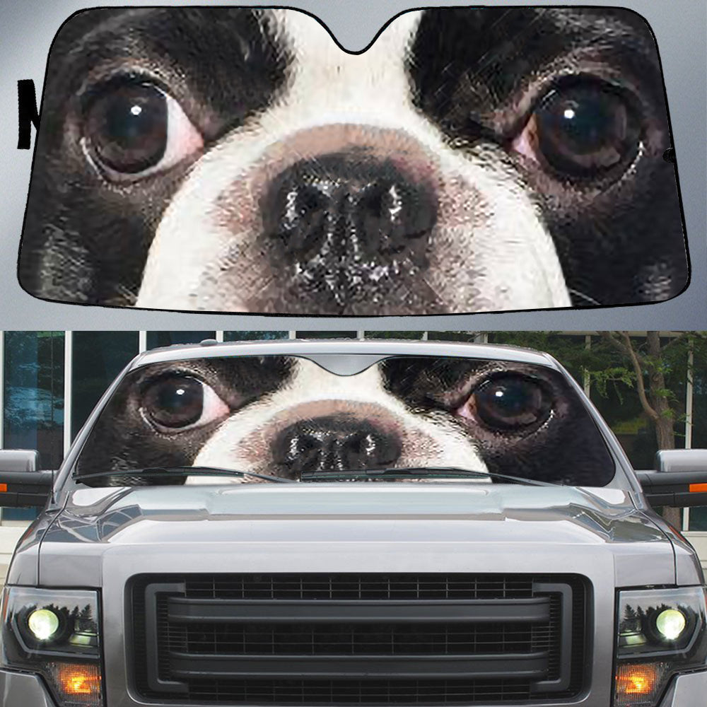 Boston Terrier''s Eyes Beautiful Dog Eyes Car Sun Shade Cover Auto Windshield