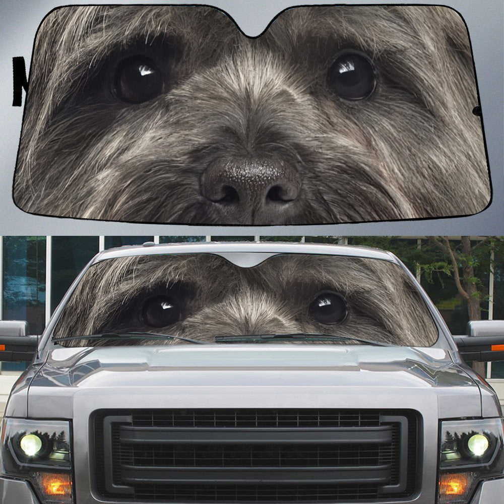 Cairn Terrier''s Eyes Beautiful Dog Eyes Car Sun Shade Front Window Cover Auto Windshield
