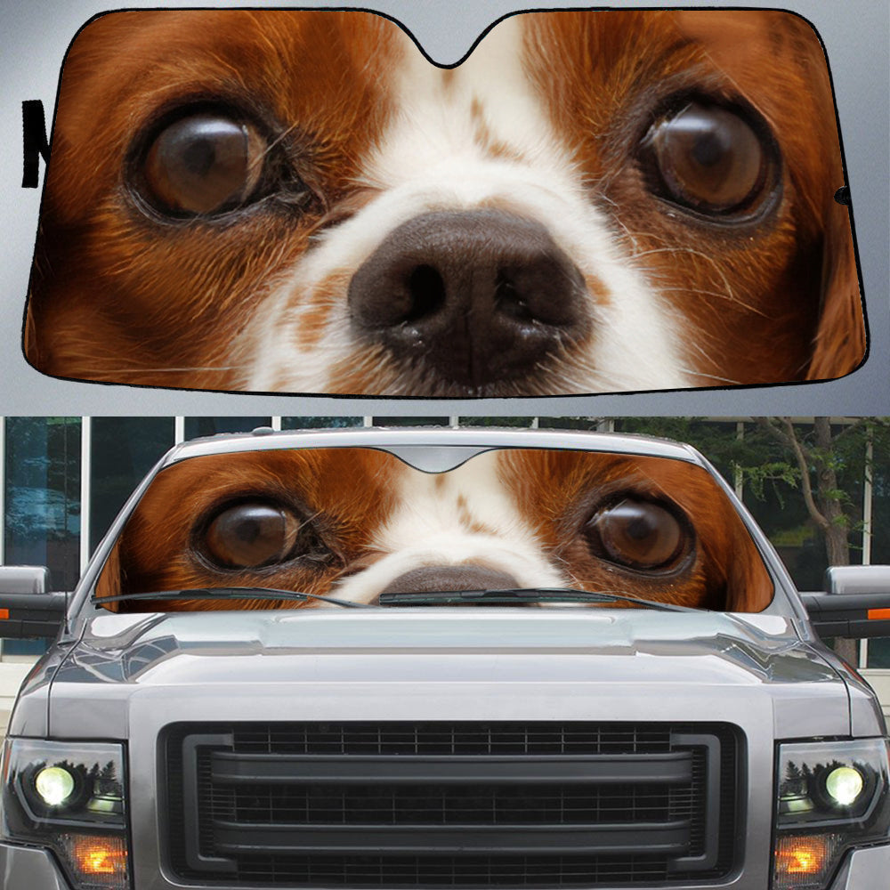 Cavalier King Spaniel Eyes Beautiful Dog Eyes Car Sun Shade Cover Auto Windshield