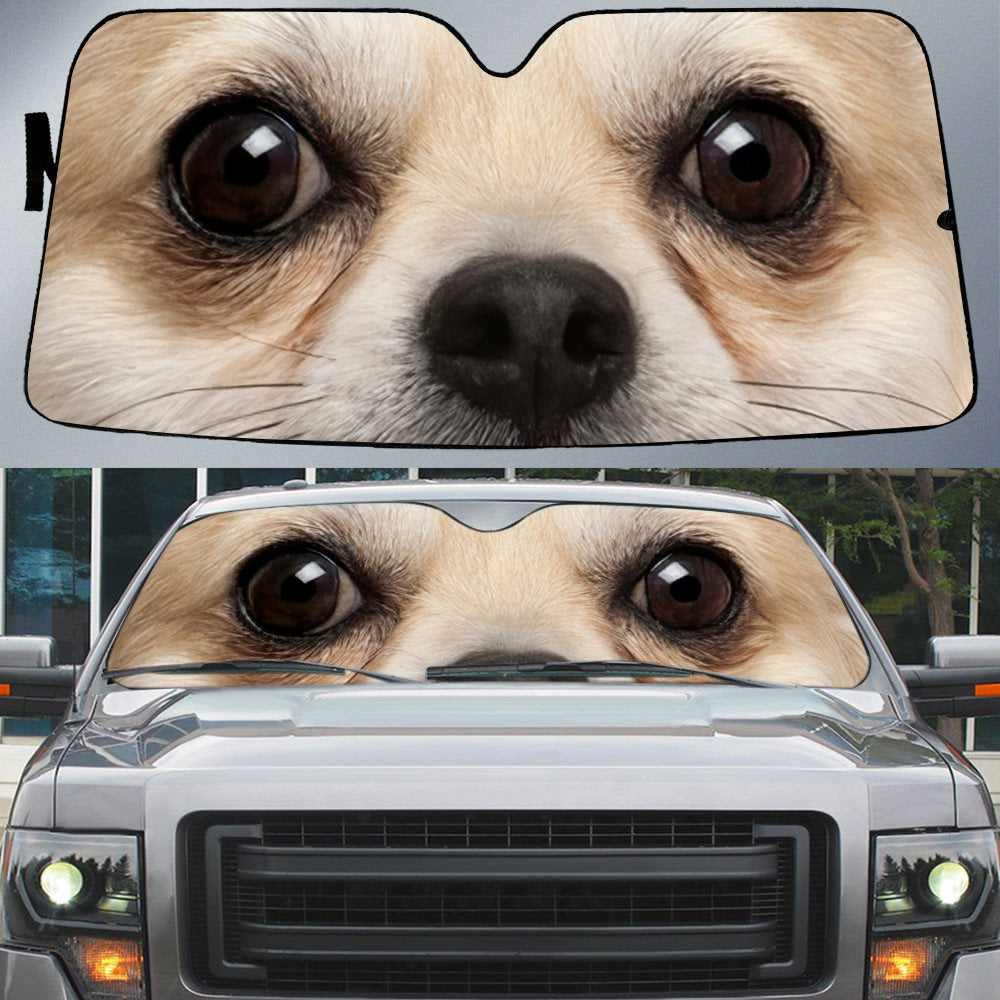 Chihuahua''s Eyes Beautiful Dog Eyes Car Sun Shade Cover Auto Windshield