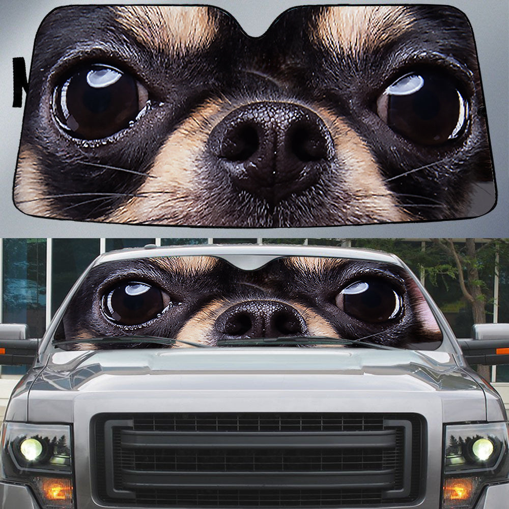 Chihuahua''s Eyes Beautiful Dog Eyes Car Sunshade Cover Auto Windshield