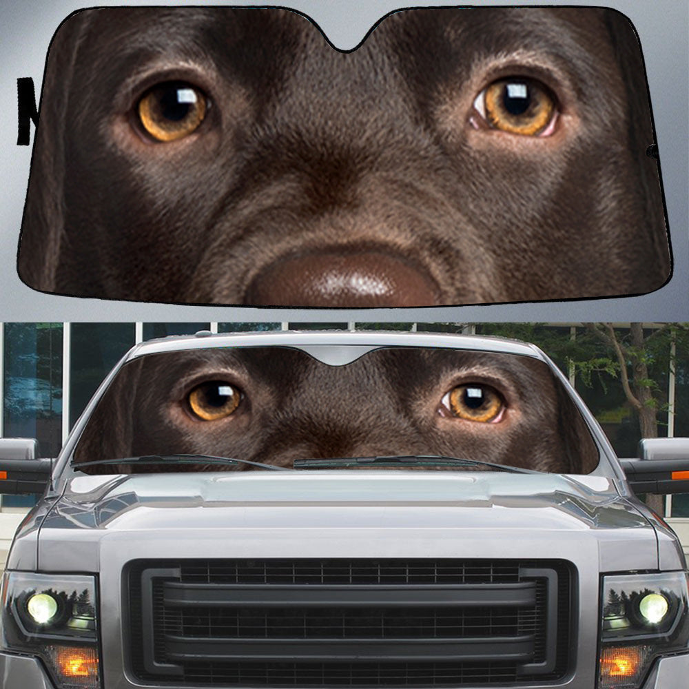 Cho Labrador Retriever''s Eyes Beautiful Dog Eyes Car Sun Shade Cover Auto Windshield