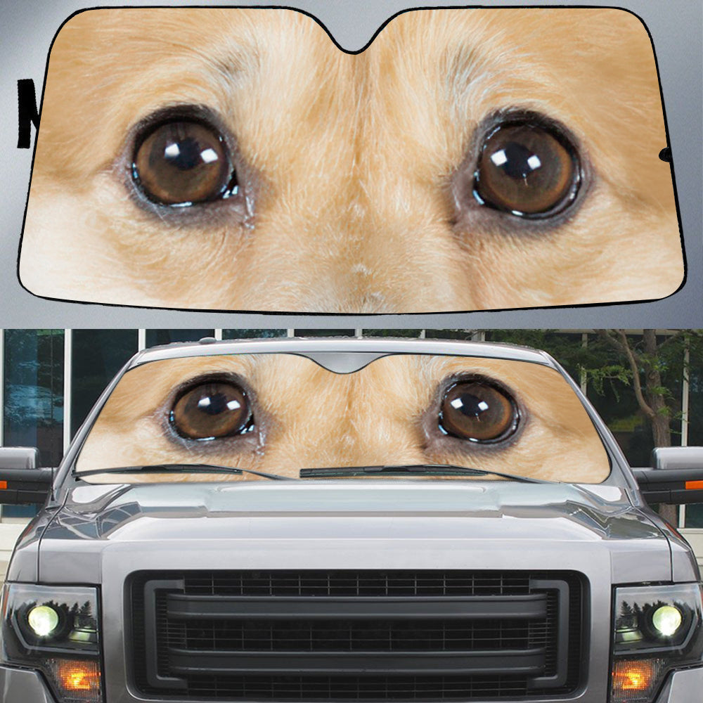 Corgi''s Eyes Beautiful Dog Eyes Car Sun Shade Cover Auto Windshield