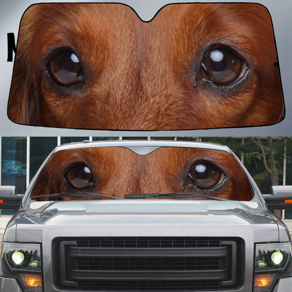 Dachshund''s Eyes Beautiful Dog Eyes Car Sun Shade Cover Auto Windshield Coolspod