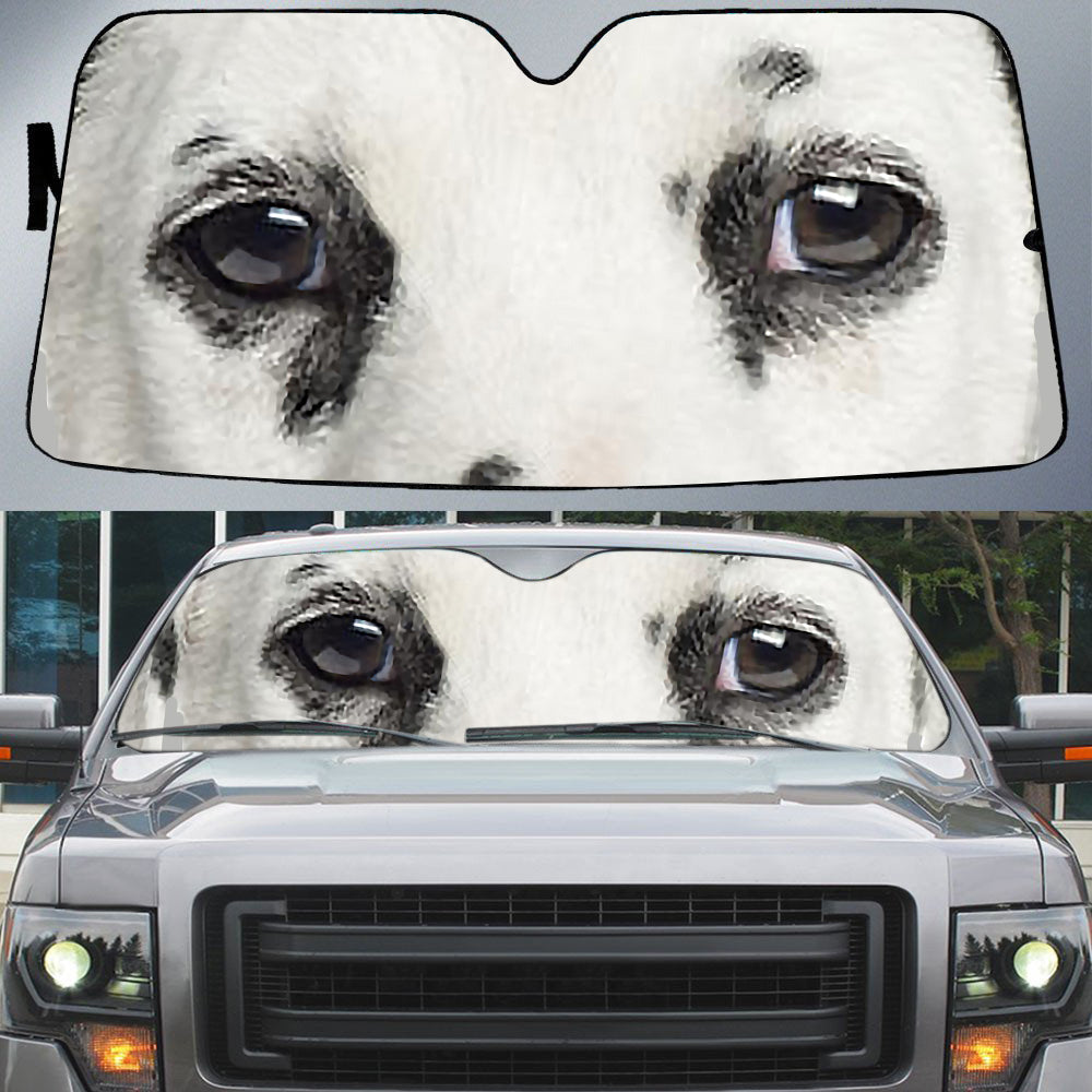 Cool Dalmatian''s Eyes Beautiful Dog Eyes Car Sun Shade Cover Auto Windshield