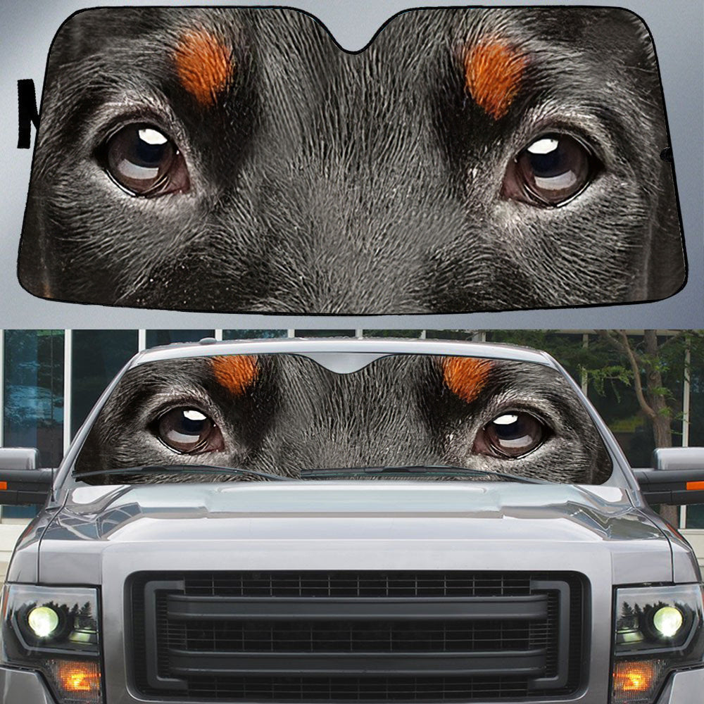 Doberman''s Eyes Beautiful Dog Eyes Car Sunshade Cover Auto Windshield