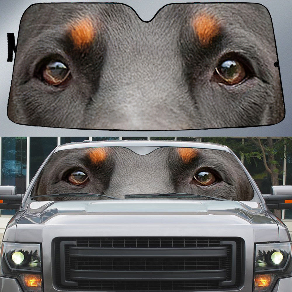 Doberman''s Eyes Beautiful Dog Eyes Car Sun Shade Cover Auto Windshield