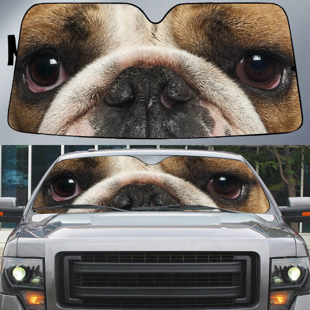 English Bulldog''s Eyes Beautiful Dog Eyes Car Sun Shade Cover Auto Windshield