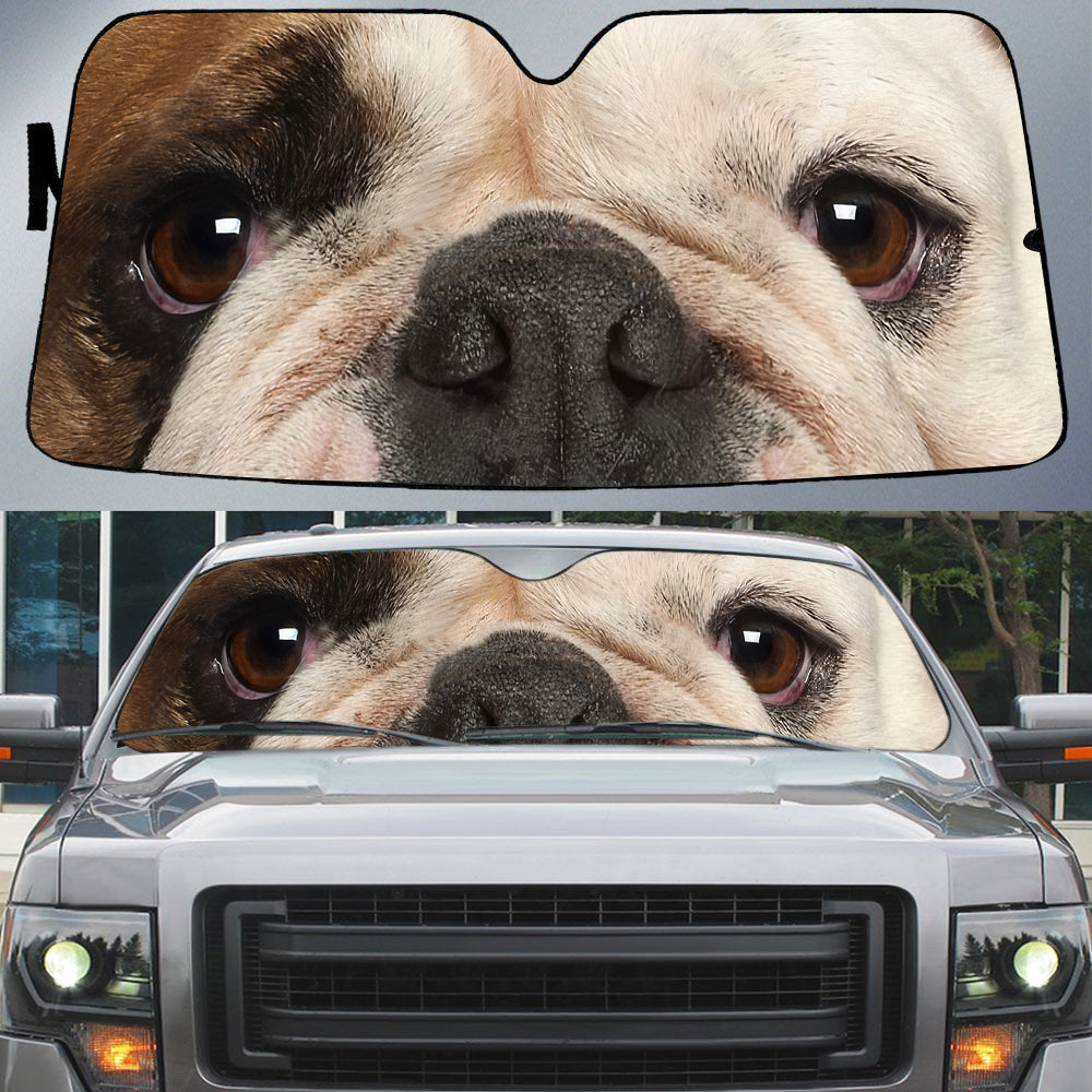 Cute English Bulldog''s Eyes Beautiful Dog Eyes Car Sun Shade Cover Auto Windshield