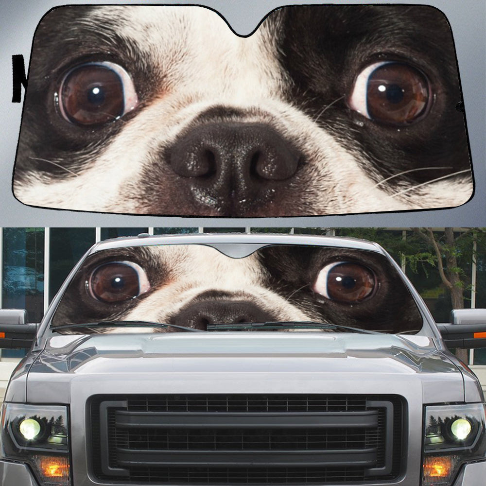French Bulldog''s Eyes Beautiful Dog Eyes Car Sun Shade Cover Auto Windshield Coolspod