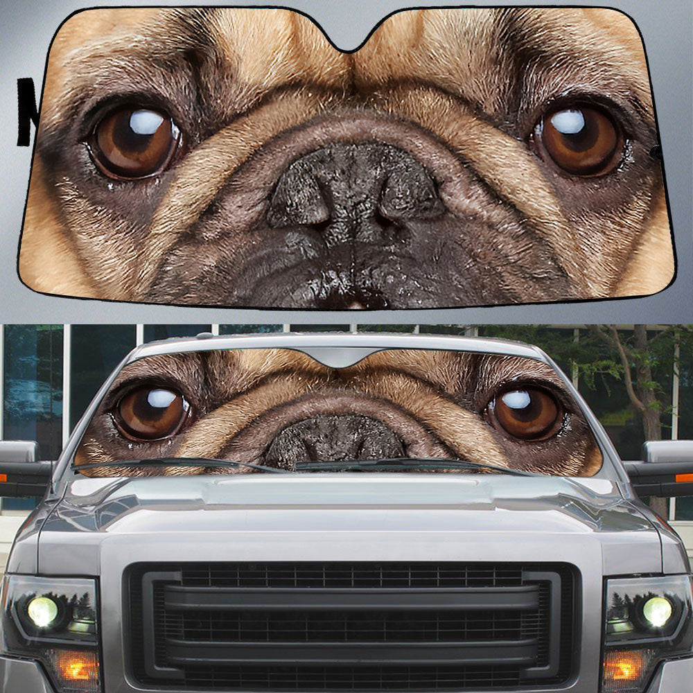 French Bulldog''s Eyes Beautiful Dog Eyes Car Sun Shade Cover Auto Windshield