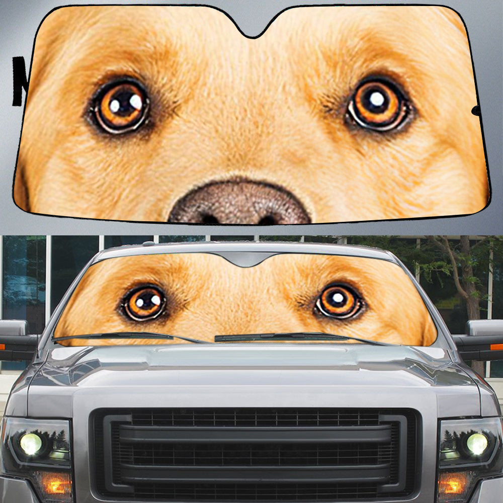 Cute Golden Retriever''s Eyes Beautiful Dog Eyes Car Sun Shade Cover Auto Windshield