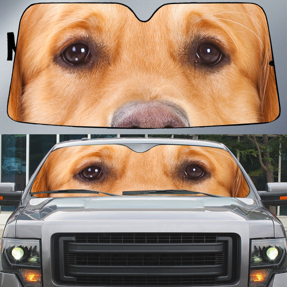 Golden Retriever''s Eyes Beautiful Dog Eyes Car Sun Shade Cover Auto Windshield