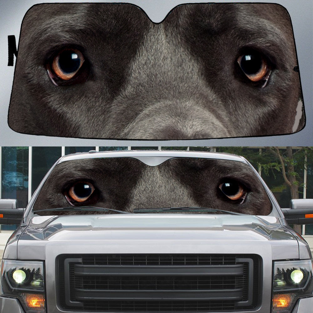 Great Dane Black''s Eyes Beautiful Dog Eyes Car Sun Shade Cover Auto Windshield