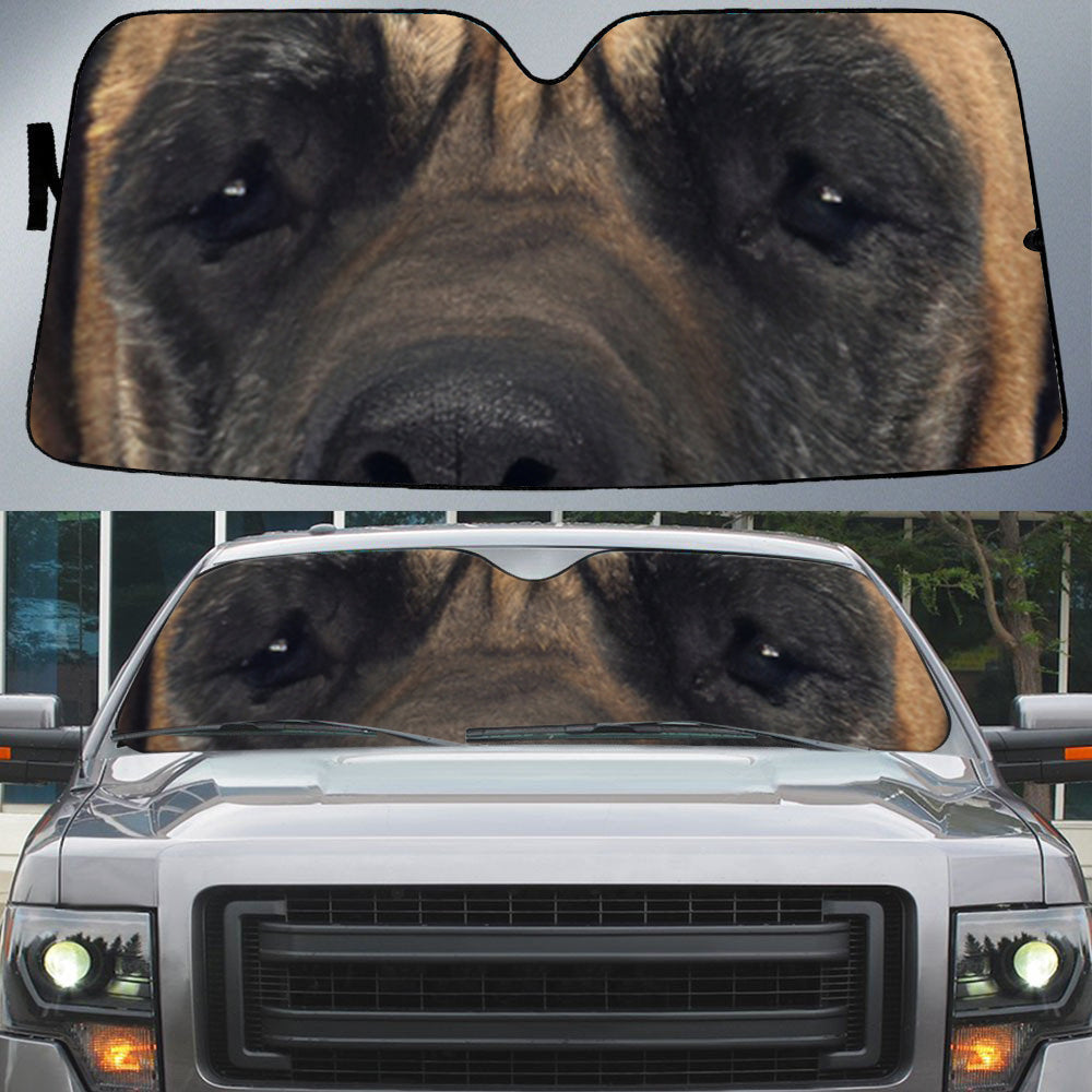 Great Dane''s Eyes Beautiful Dog Eyes Car Sun Shade Front Window Cover Auto Windshield