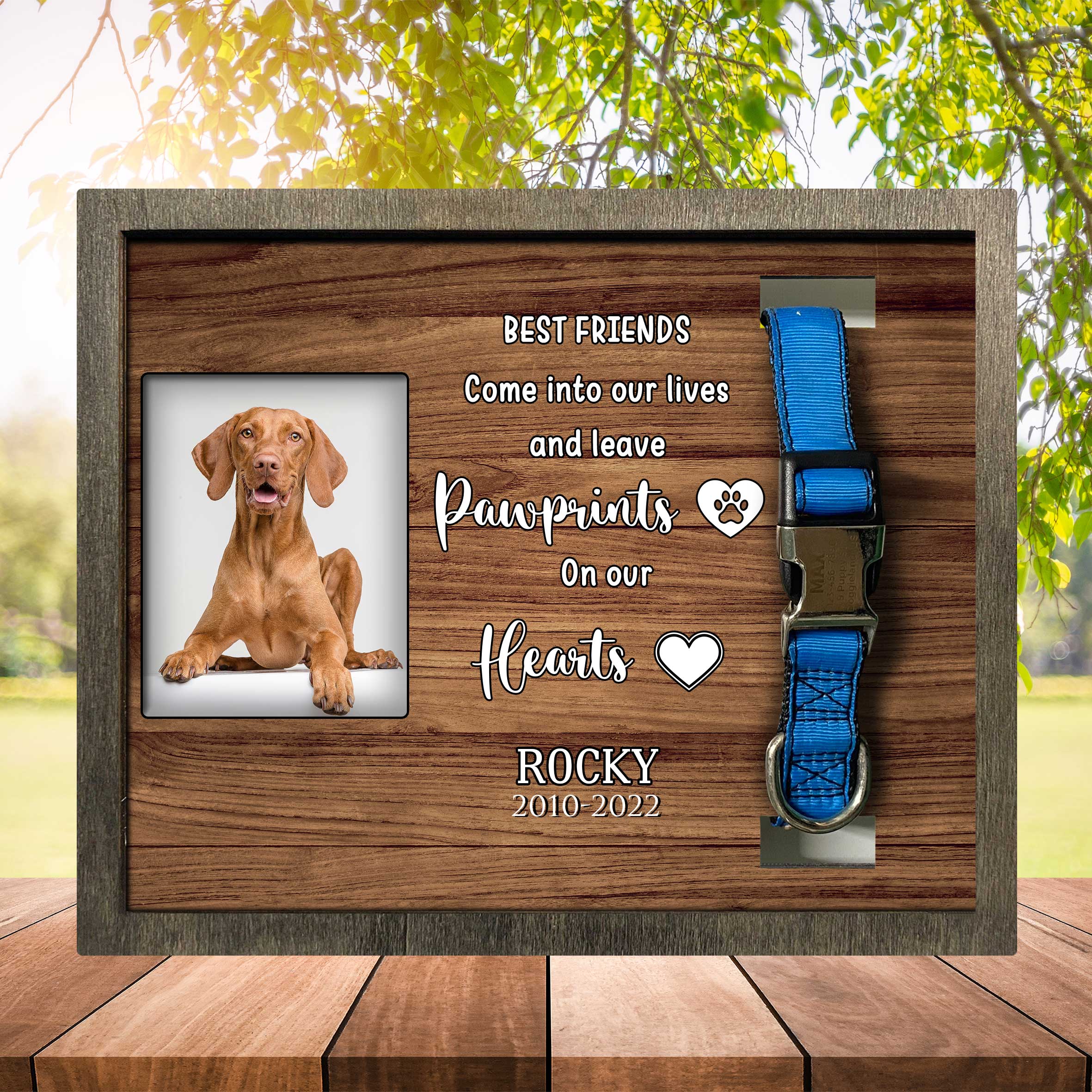 Loss Of Vizsla Dog Frame/ Vizsla Memorial/ Sympathy Gift For Pet Loss