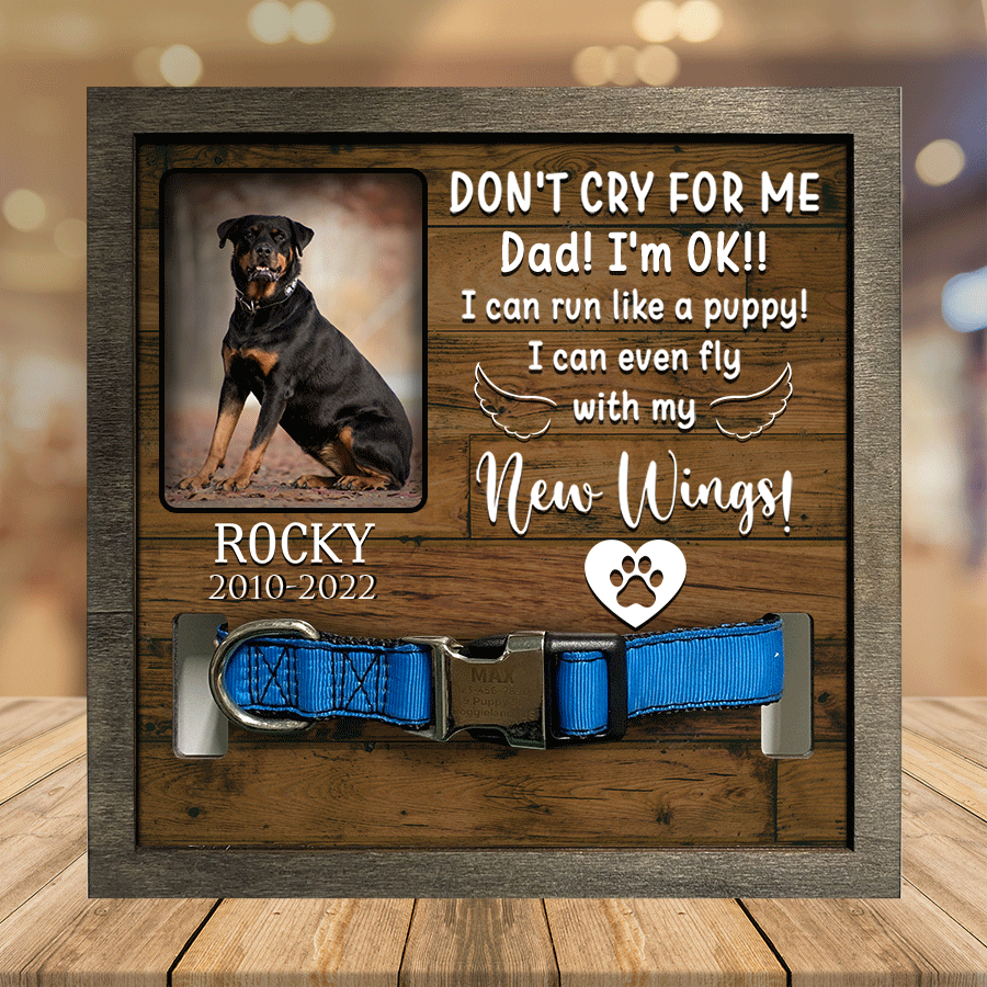 A Rottweiler/ Dog Picture Frames/ Memorial Pet/ you were my favorite Hello/ Pet Lover Gifts