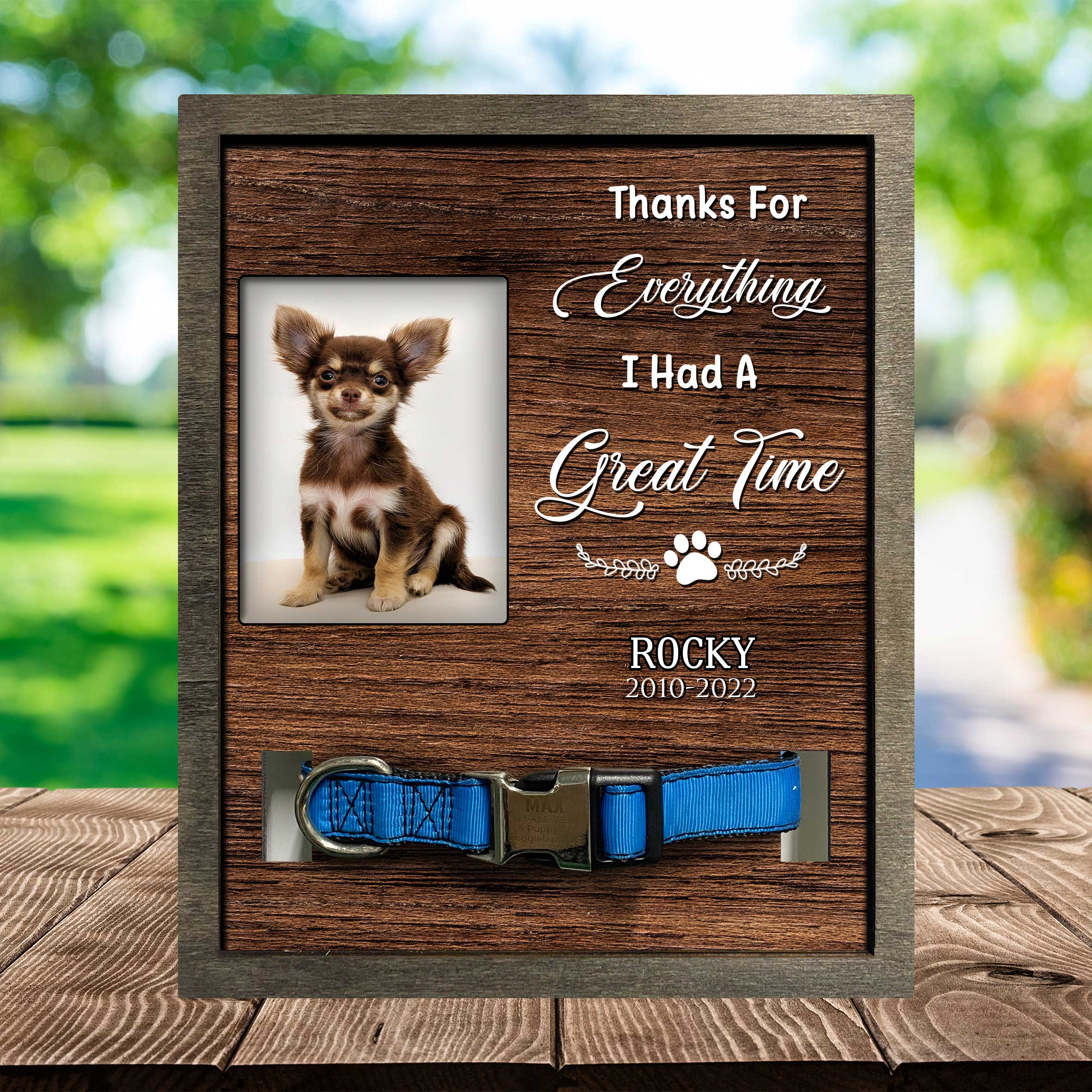 Picture Frame For Grieving A Dog